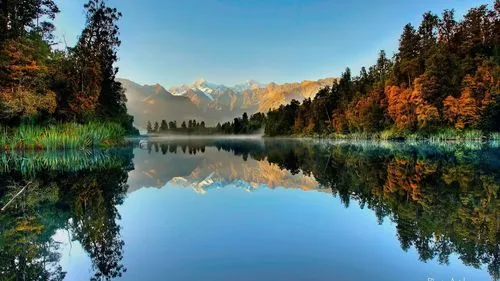 全自动高质量创意